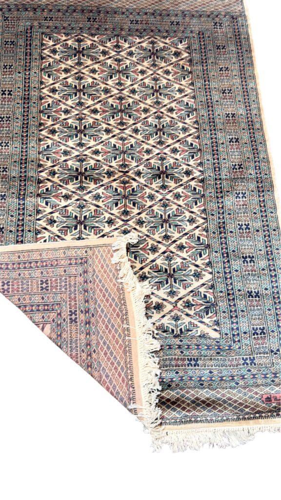 Photoroom_20260312_133015